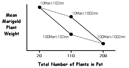 Bio 412 Lab 1 Plant Competition